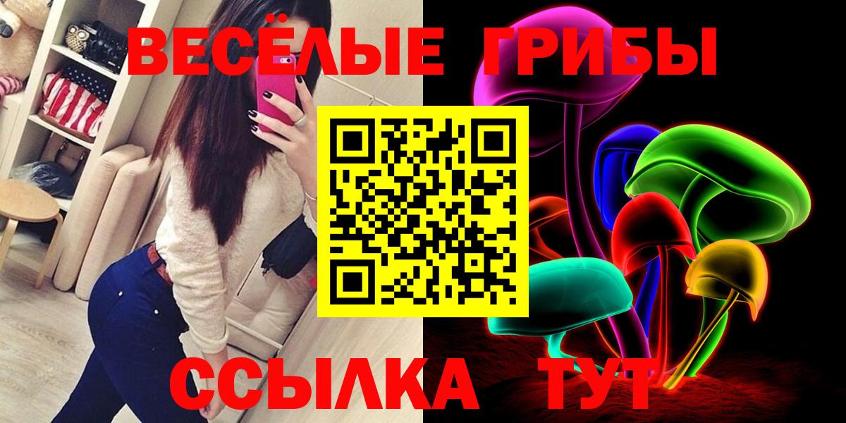 Железноводск  купить наркотики цена  Псилоцибиновые грибы GOLDEN TEACHER  Вход с VPN  Псилоцибиновые грибы ЛСД 